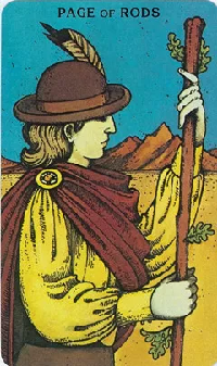 Bói bài tarot tháng 9/2024 - Sư Tử