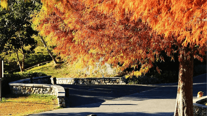 Khám phá hồ Nhật Nguyệt vào mùa thu