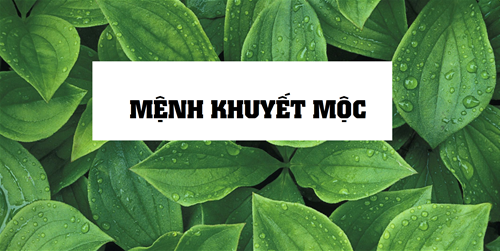 MỆNH THIẾU MỘC