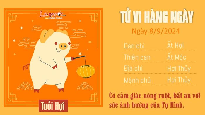 Tử vi hàng ngày 8/9/2024 của 12 con giáp - tuổi Hợi