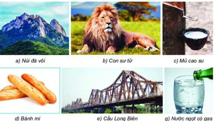 đặc điểm là gì? (phiên bản 4)