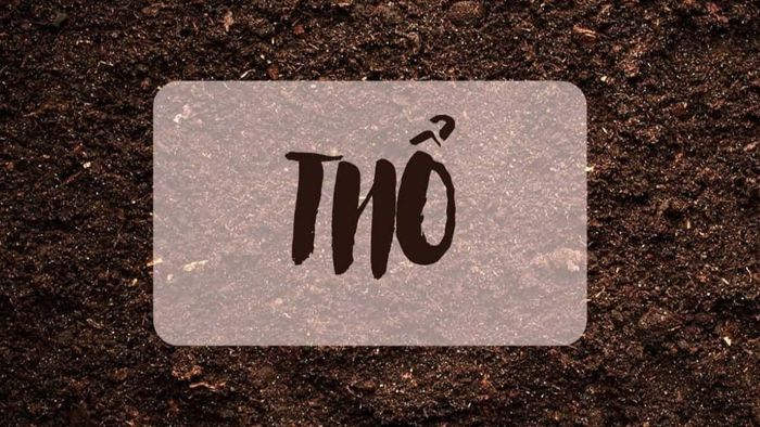 Đặc điểm tính cách của người sinh năm 1976 là gì?