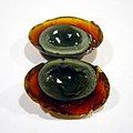 Trứng bắc thảo đã cắt lát