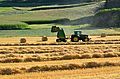 Thu gom và bó rơm bằng máy ở Áo
