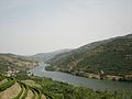 Thung lũng Douro, nơi trồng nho để sản xuất vang Porto nổi tiếng