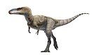 Alioramus xa lạ