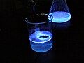Luminol và Hemoglobin