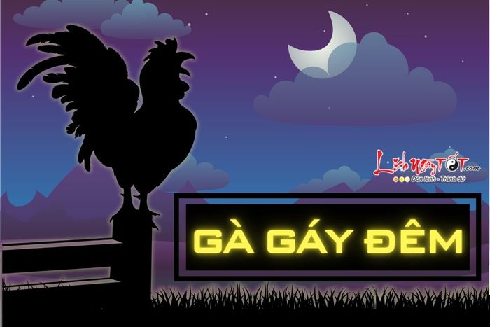 Gà gáy đêm có ý nghĩa gì