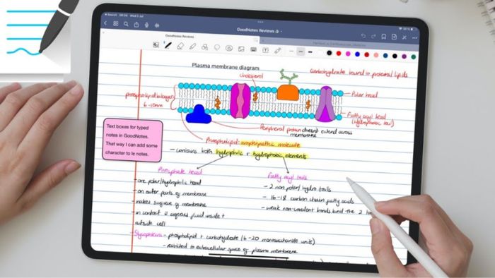 Các ứng dụng ghi chú trên iPad có hỗ trợ Apple Pencil không?