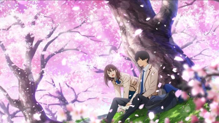 Sakura và Shiga