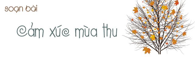 Hình minh họa (Nguồn từ internet) ảnh 1