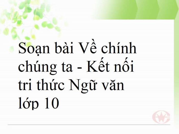 Hình minh họa (Nguồn từ internet) ảnh 1