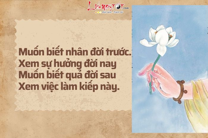 Nhân đời trước, Quả đời sau