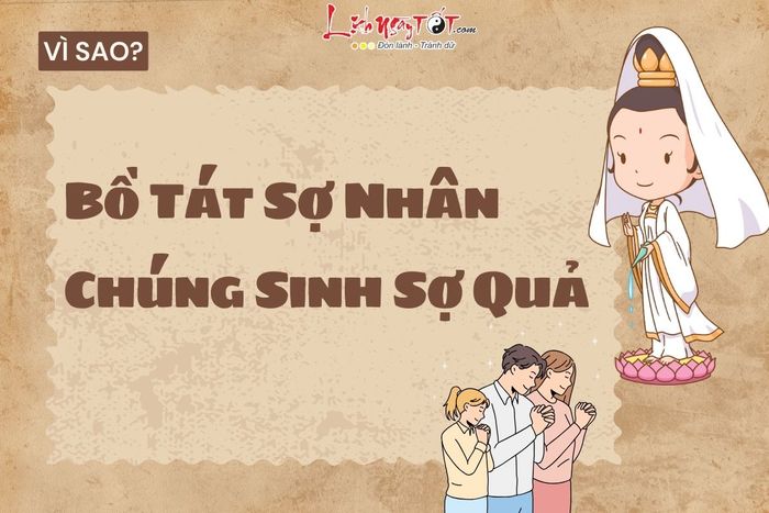 Tại sao nói Bồ Tát lo sợ nhân, chúng sinh lo sợ quả?