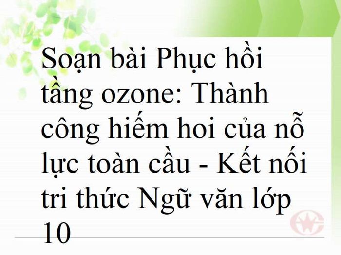 Hình ảnh minh họa (Nguồn: Internet) ảnh 1