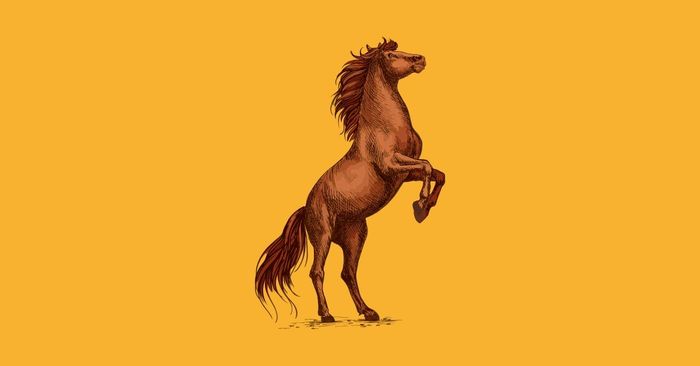 Khởi nguồn của Full of beans