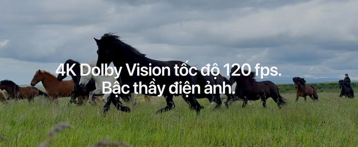 Dòng iPhone mới có khả năng ghi video 4K ở tốc độ 120fps. Ảnh: Apple