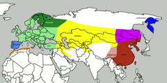 Các phân loài của xấu xa bao gồm: Pica pica hudsonia, Pica pica melanotos, Pica pica galliae, Pica pica germanica, Pica pica pica, Pica pica fennorum, Pica pica asirensis, Pica pica bactriana, Pica pica hemileucoptera, Pica pica leucoptera, Pica pica jankowskii, Pica pica sericea, Pica pica battnensis, Pica pica kamschatisa