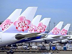 Đuôi máy bay của China Airlines trang trí hình hoa mai