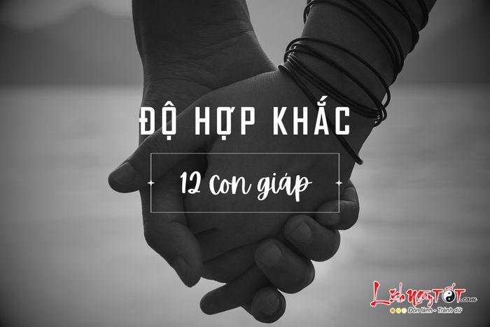 Mức độ hợp khắc của 12 con giáp