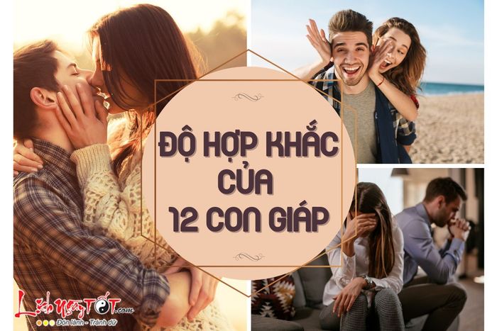 Mức độ hợp khắc của 12 con giáp