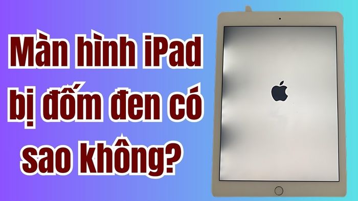 Màn hình iPad bị đốm đen có sao không?