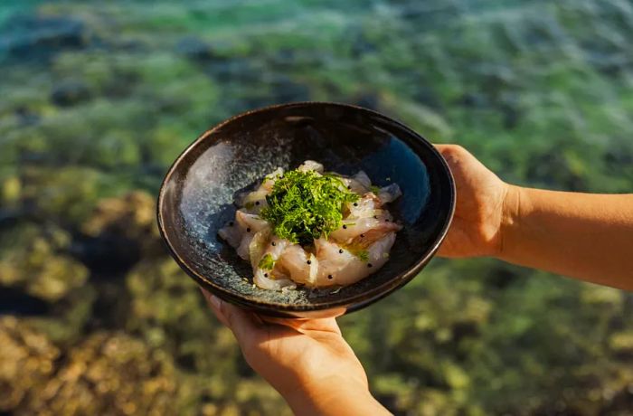 A person showcases a bowl filled with seafood and greens against an ocean backdrop.