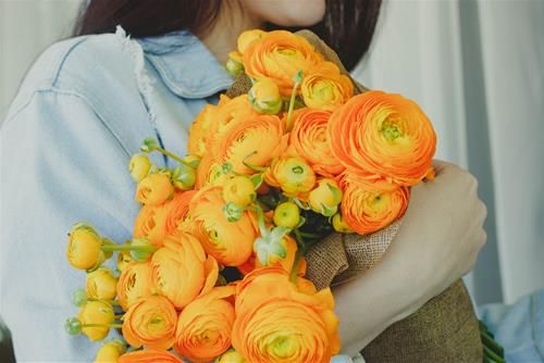 Sự khôn ngoan mang đến sự bình tĩnh trong cơn bão.