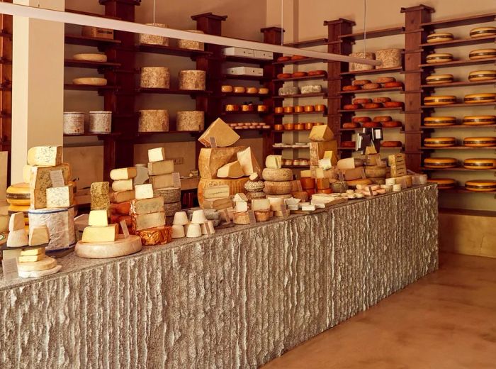 A cheese shop featuring shelves lined with various cheese wheels and a textured stucco counter displaying sliced selections.