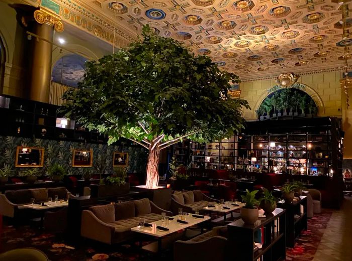 A grand illuminated tree stands at the center, surrounded by tables, within a space featuring high ceilings.