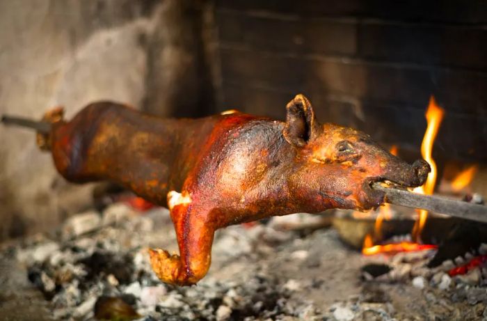 A young pig rotates slowly on a spit above an open flame