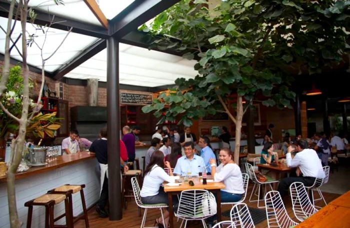 An outdoor dining area under an awning, featuring low tables with patio chairs, a bar on one side, and a large young tree providing shade in the center.