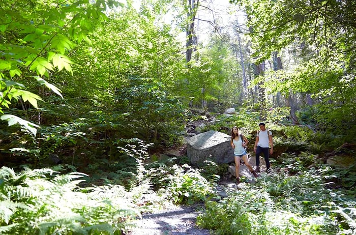 Two hikers enjoy the serene forest of the Hudson Valley, USA.