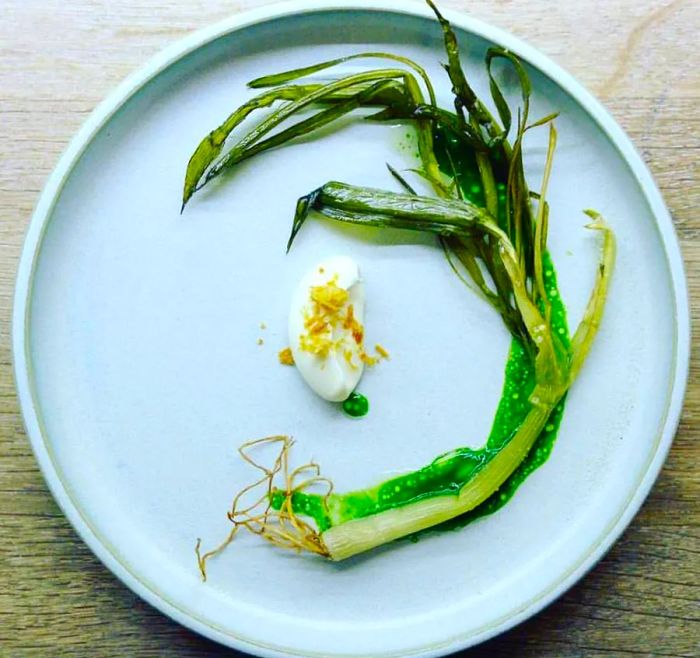 Viewed from above, a complete arrangement of spring garlic elegantly spirals around a central piece of fish and cream.