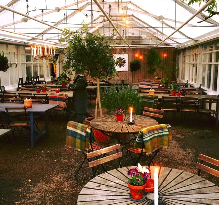 An interior resembling a greenhouse, featuring reclaimed wooden tables, lush plants, and expansive skylights.