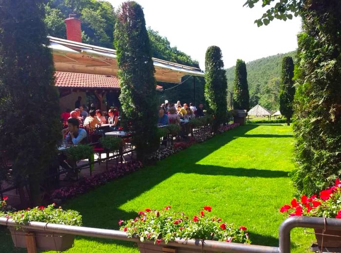 The restaurant's patio, partially obscured by tall cylindrical hedges, is surrounded by geometric grassy areas, flower beds, and a single-story building with sun-drenched shingles.