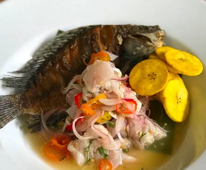 A vibrant dish of ceviche is accompanied by a whole fried fish and crispy plantain slices, all resting in a savory broth.