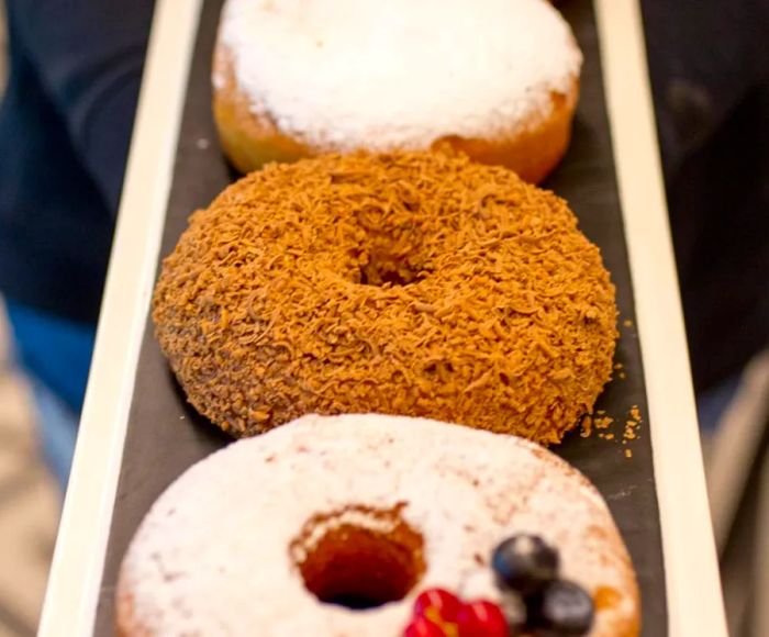 A tray displays four doughnuts of varying styles and colors, fading into the background.