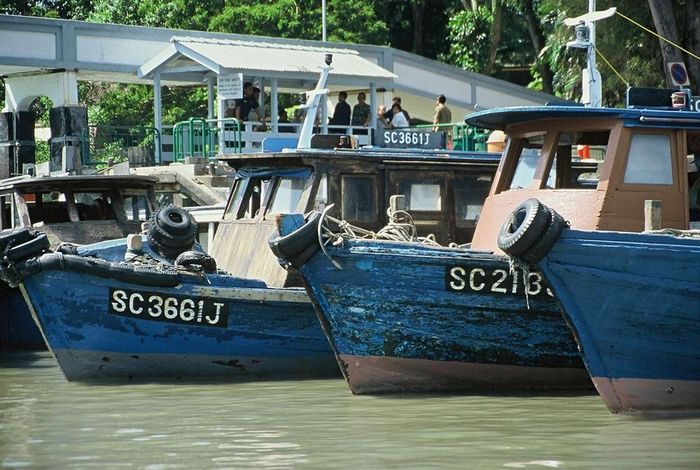 Khung cảnh những chiếc phà chở hành khách từ bến Changi đến đảo Ubin, một điểm đến cuối tuần phổ biến ngoài khơi bờ biển Singapore.