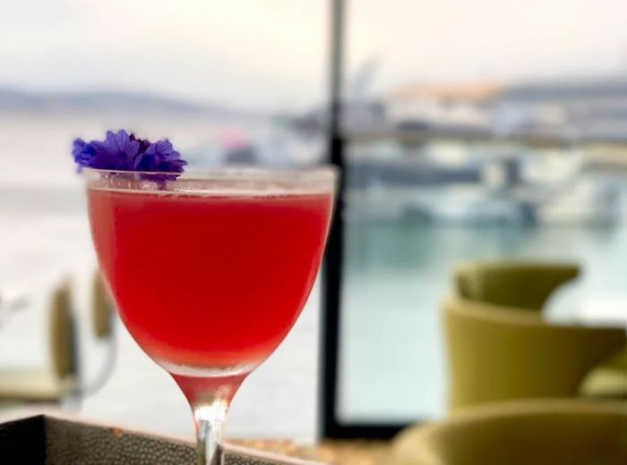 A vibrant red cocktail presented in a nick and nora glass, garnished with a small flower, set against a softly blurred view of the bay outside the expansive restaurant windows.