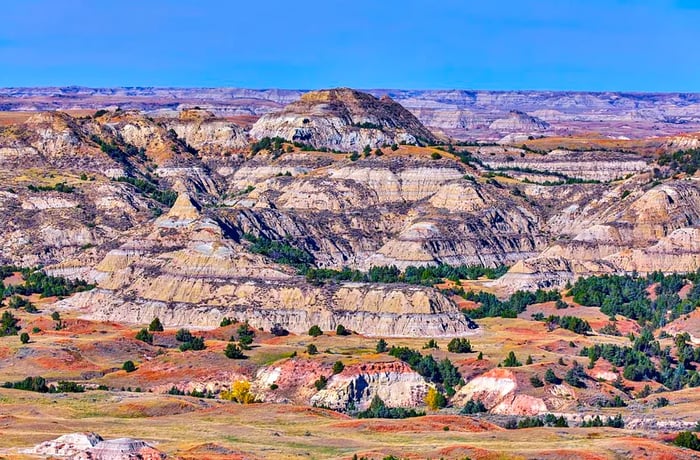 A sweeping view over vibrant red rock formations