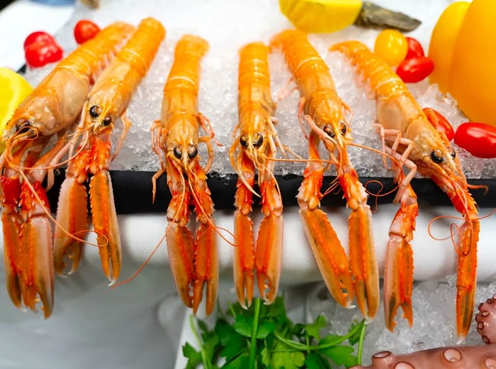 A selection of shellfish elegantly arranged on ice.