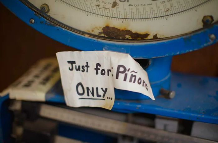 A weathered blue scale features a sign reading “Piñon Only.”