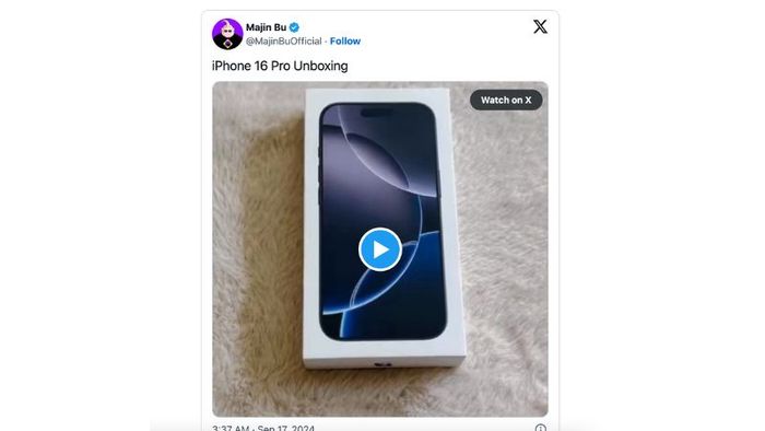 iPhone 16 Pro