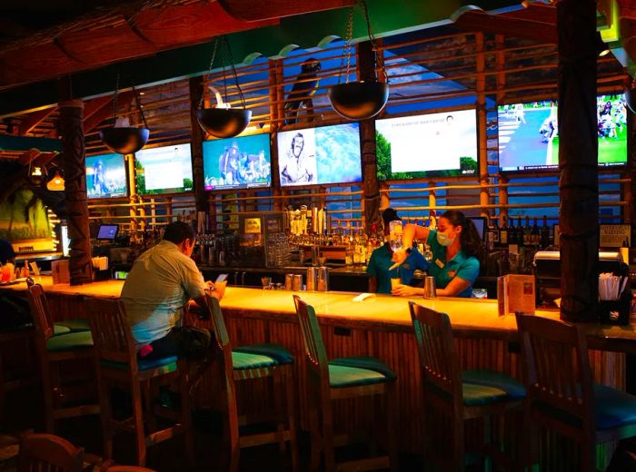 A woman serves a drink behind a bar where a man sits, engrossed in his phone.