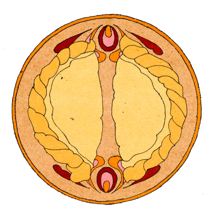 Illustration of two empanadas facing away from each other on a circular plate.