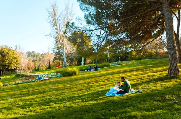 people lounging on a grassy area.