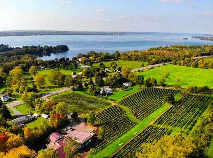 An aerial view showcasing a serene landscape featuring buildings, vineyards, and a glistening lake.