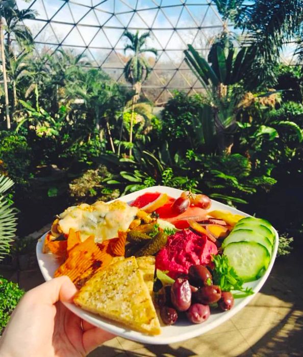 A vibrant plate brimming with a variety of vegetables and dips is showcased in front of a greenhouse.