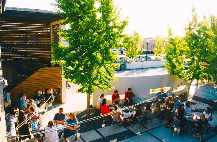 Groups of people relax in the sun, seated in chairs within a tree-lined courtyard.